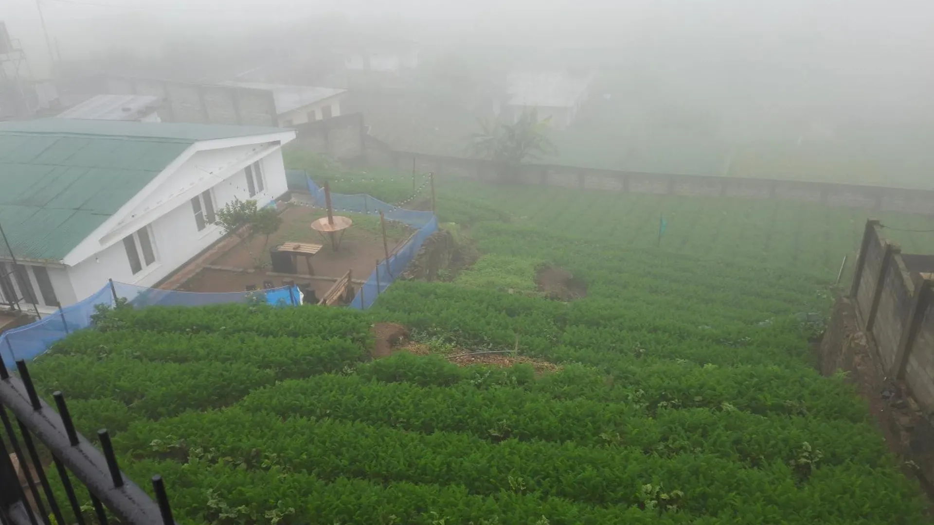 Green Lodge - Farm Stay Nuwara Eliya Apartment